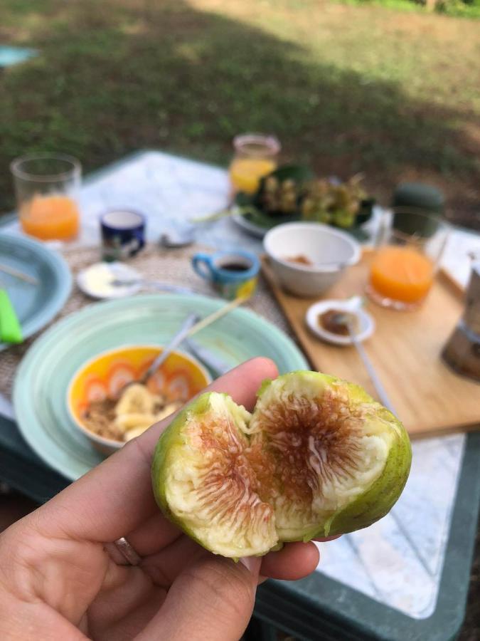 Habitat Eco Farm Hotel Sorrento Ngoại thất bức ảnh