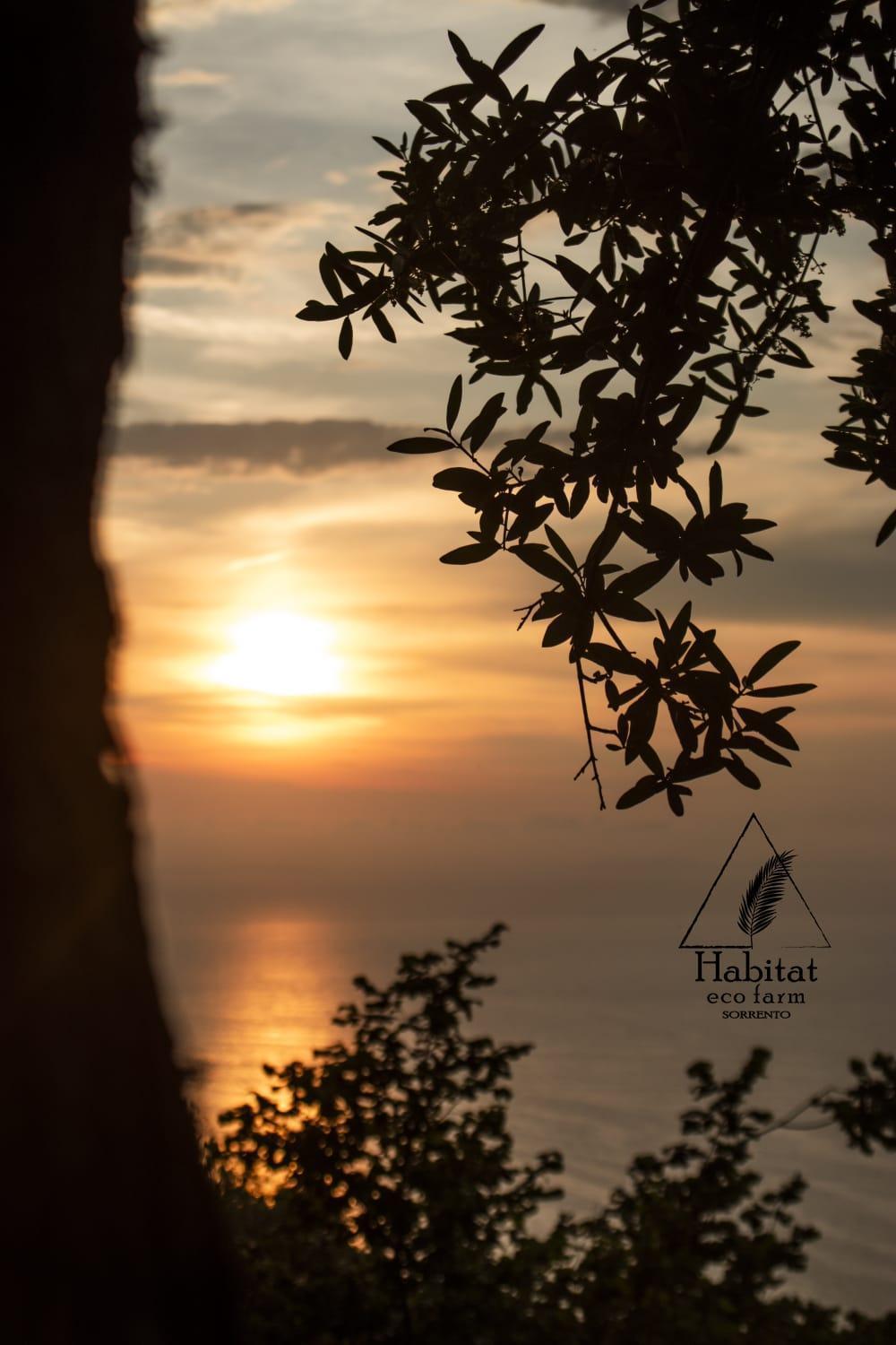 Habitat Eco Farm Hotel Sorrento Ngoại thất bức ảnh